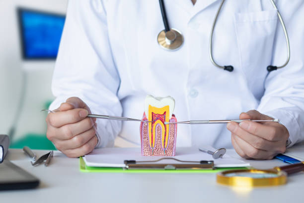 Best After-Hours Dental Trauma Care in Colona, IL
